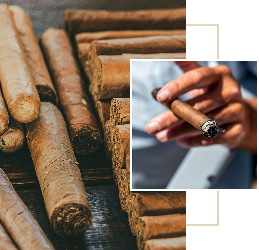 Cigars displayed and one held in hand.